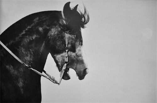 1652781212809473.jpg 微信图片_20220517154617.jpg