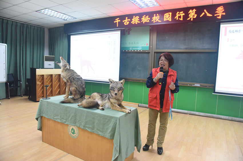 1527054519240792.jpg DSC_0507_副本.jpg