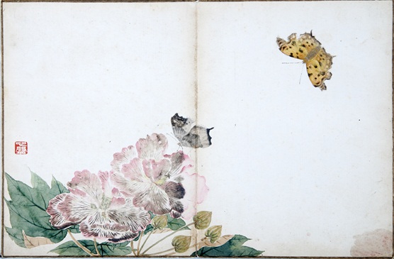 37020102-00460-a-03清张槃纸本设色太常仙蝶图册 二级.jpg