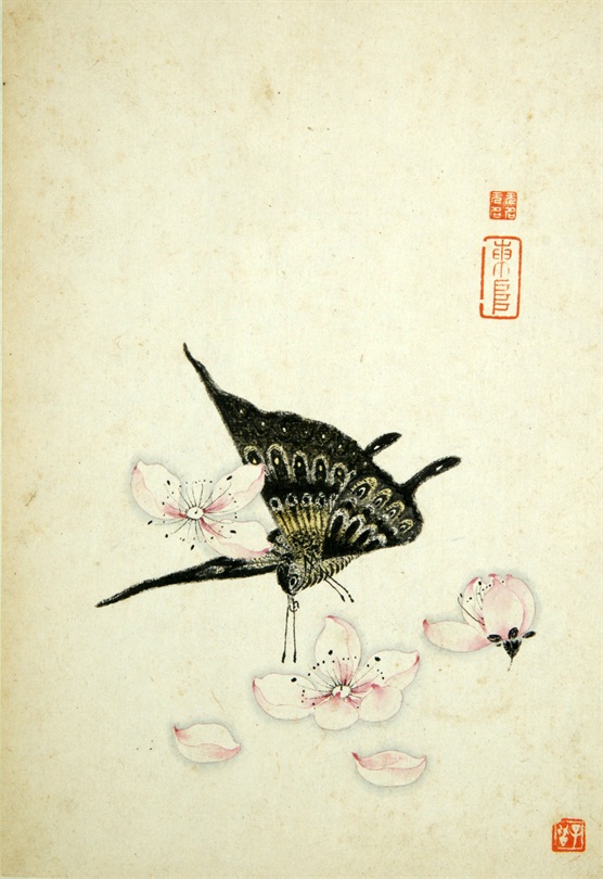 37020102-00092-a-10明陈字纸本设色花卉草虫图册 二级.jpg