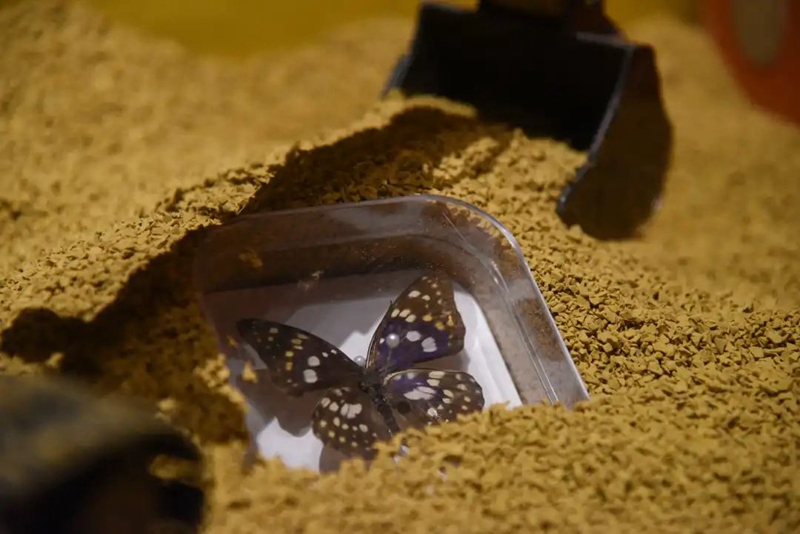 1612404073911870.jpg 640 (3).jpg