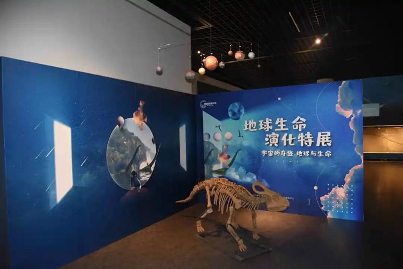 1612404113438142.jpg 640 (4).jpg