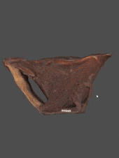 1703752777156608.gif 640 (3).gif