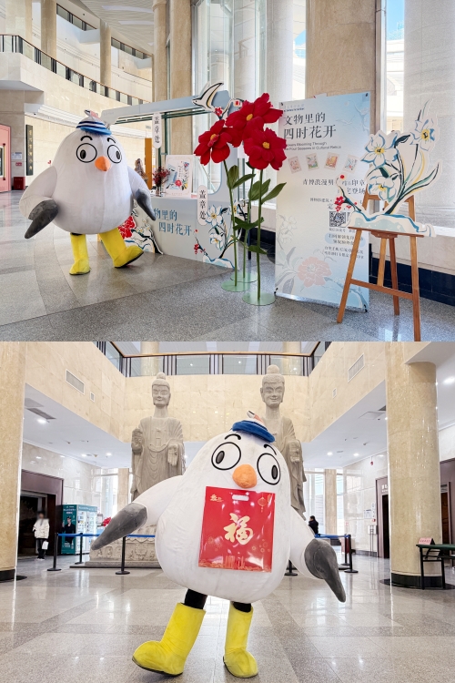 1769074069336423.jpg show_678316985_1769073215807_副本11.jpg